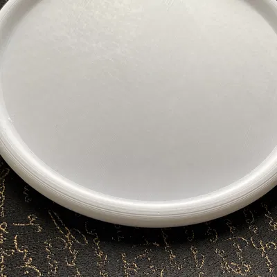 Frisbee 210mm cho trẻ em in 3D