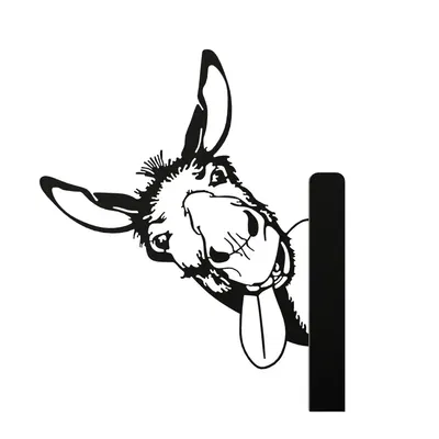 **Lừa đang nhìn trộm**