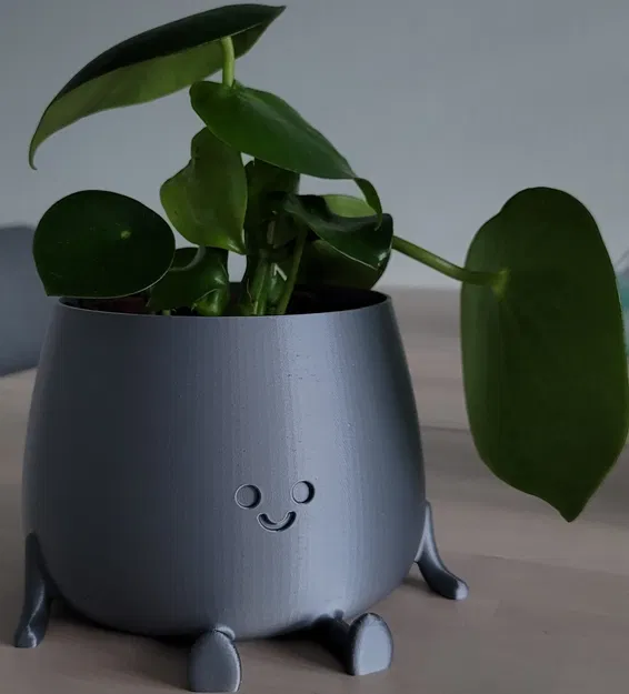 Chậu cây vui vẻ đa năng cho nhà và vườn - Image 1