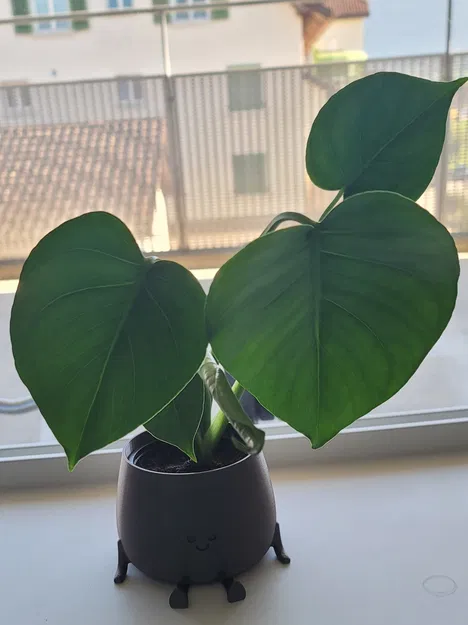 Chậu cây vui vẻ đa năng cho nhà và vườn - Image 2