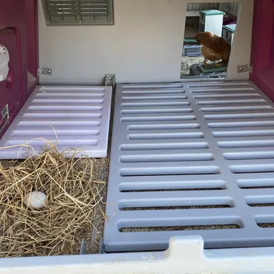 Lưới cho ổ đẻ Omlet Eglu Mk2