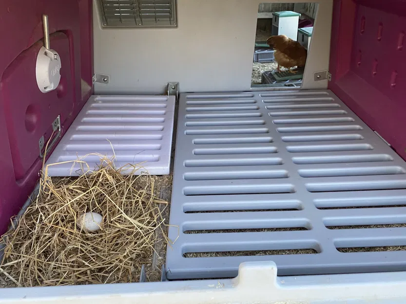 Lưới cho Omlet Eglu Mk2 phiên bản 2 - Image 6