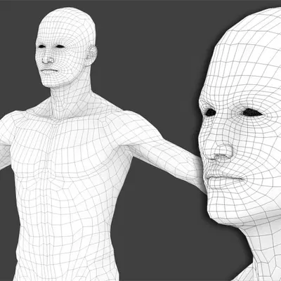 Mô hình cơ thể nam generic đã rigged