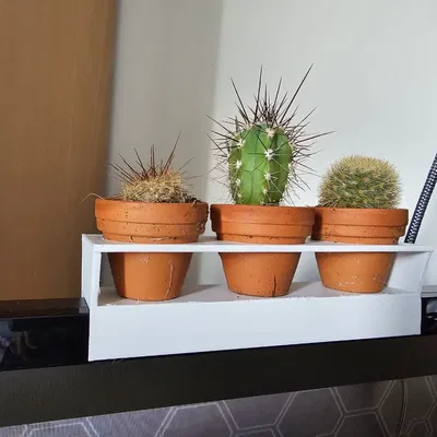 Giá đỡ màn hình mini hình xương rồng Ikea