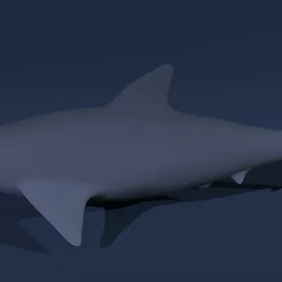 Mô hình cá mập chất lượng cao từ leomclaughlin