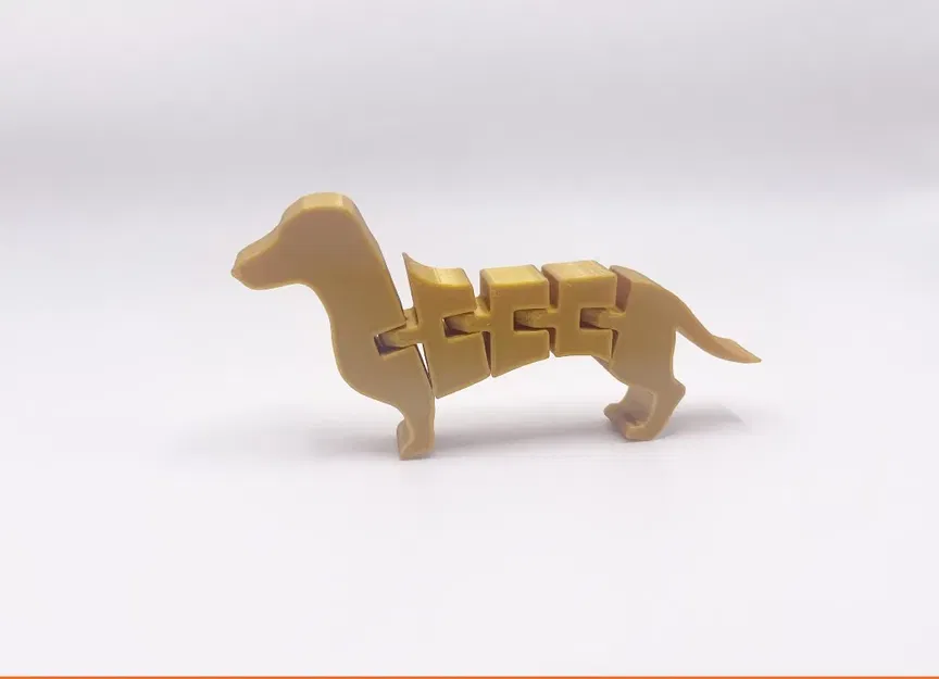 Chó Dachshund linh hoạt với tư thế không hoàn hảo - Image 1