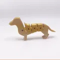 Chó Dachshund linh hoạt với tư thế không hoàn hảo - Thumbnail 1