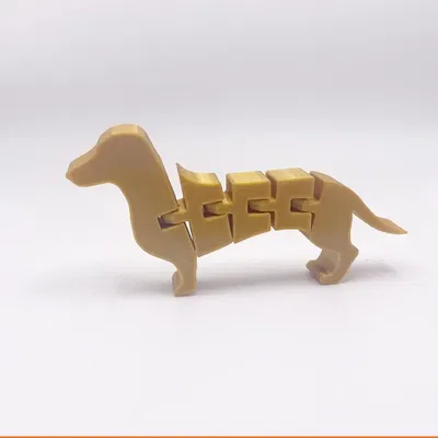 Chó Dachshund linh hoạt với tư thế không hoàn hảo