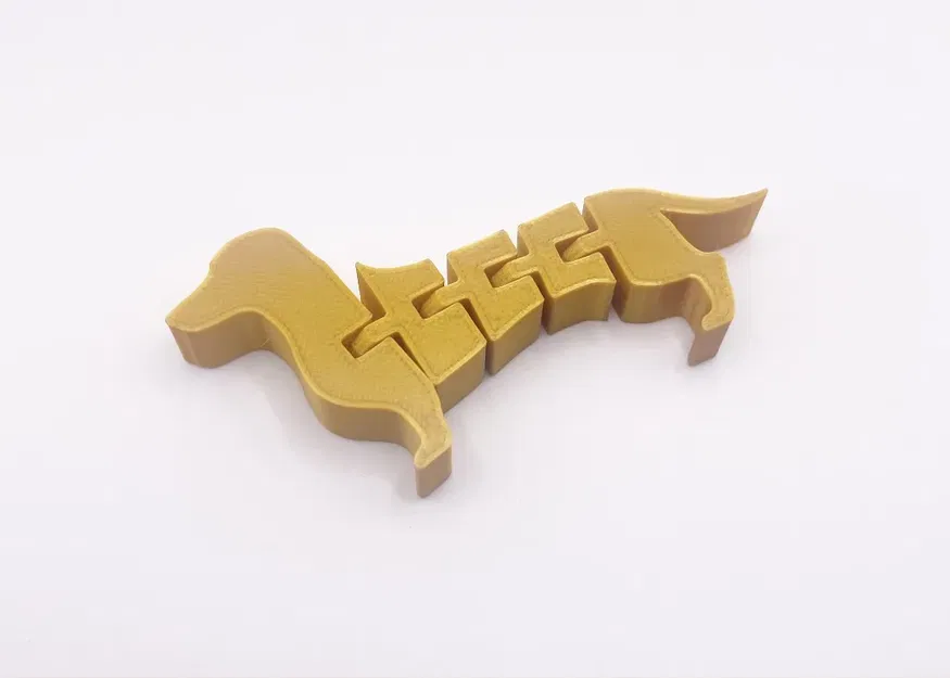 Chó Dachshund linh hoạt với tư thế không hoàn hảo - Image 2