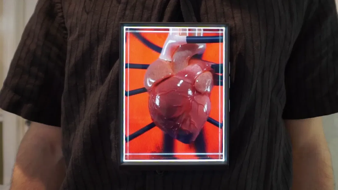 Giá đỡ đeo cho Looking Glass Portrait - Image 1