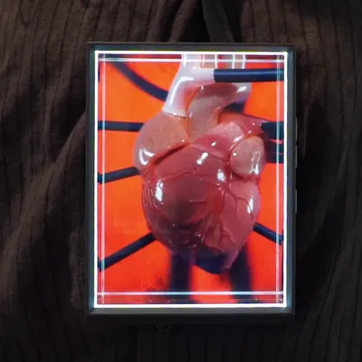 Giá đỡ đeo cho Looking Glass Portrait