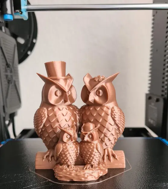 Gia đình cú mèo dễ thương in 3D - Image 6