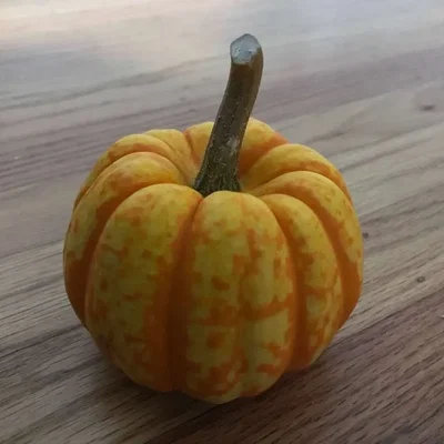 Mô hình bí ngô 3D quét bằng photogrammetry đã sửa chữa