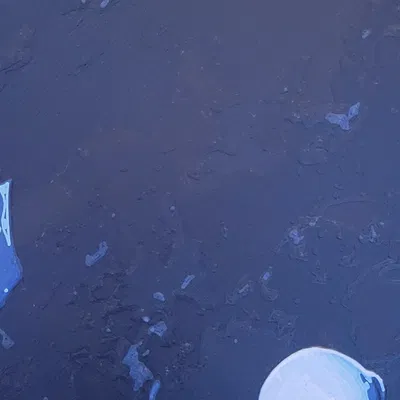 Squirtle - Nhân vật Pokemon đa sắc màu từ HueForge