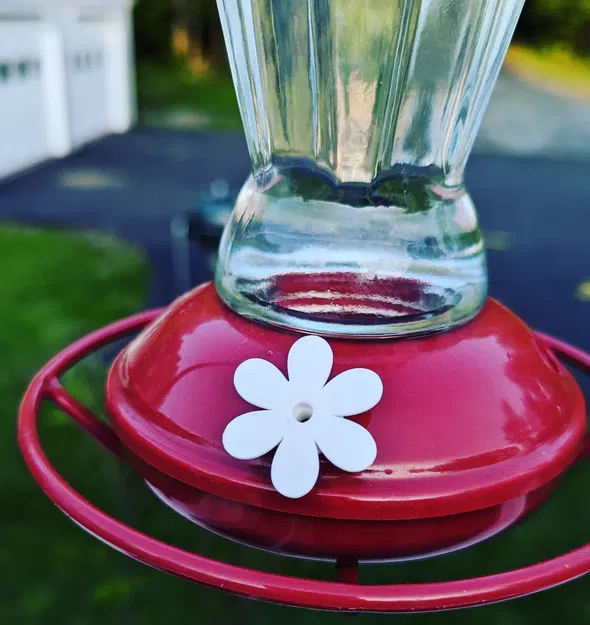 Hoa thay thế cho bộ tiếp đón chim ruồi - Image 1