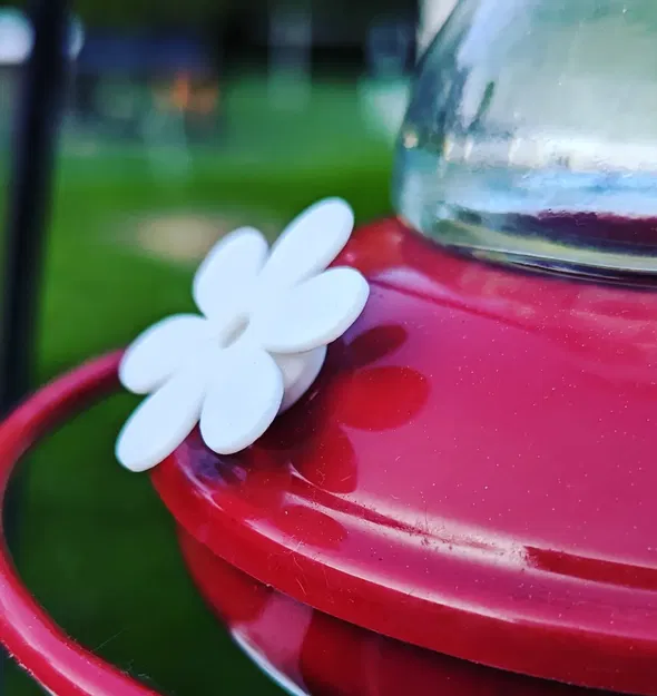 Hoa thay thế cho bộ tiếp đón chim ruồi - Image 2