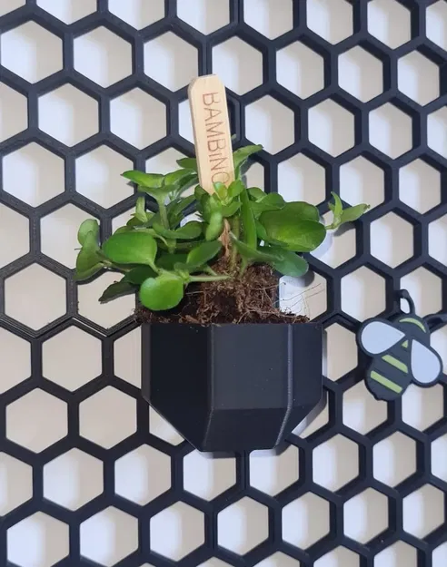 Chậu cây hình khối cho tường lưu trữ tổ ong - Image 1