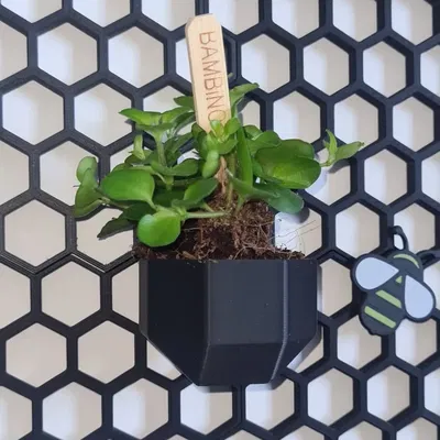 Chậu cây hình khối cho tường lưu trữ tổ ong