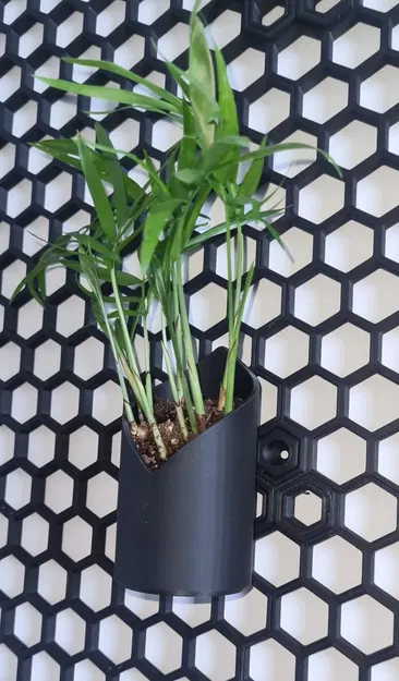 Chậu cây nhỏ cho tường lưu trữ tổ ong HSW - Image 1