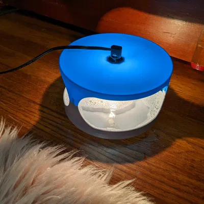 Bẫy bọ chét sử dụng ánh sáng xanh và nước xà phòng