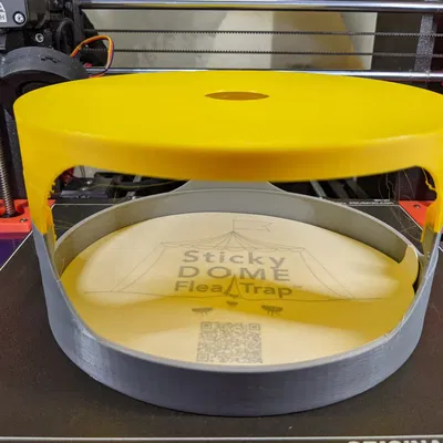 Bẫy bọ chét sử dụng ánh sáng xanh và nước xà phòng