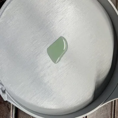 Bẫy bọ chét sử dụng ánh sáng xanh và nước xà phòng