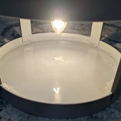 Bẫy bọ chét sử dụng ánh sáng xanh và nước xà phòng