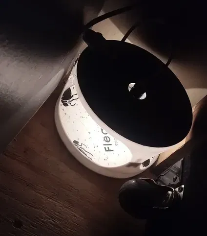 Bẫy bọ chét sử dụng nhiệt và ánh sáng để thu hút bọ chét - Image 1