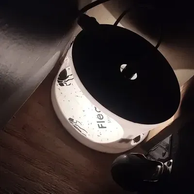 Bẫy bọ chét sử dụng nhiệt và ánh sáng để thu hút bọ chét