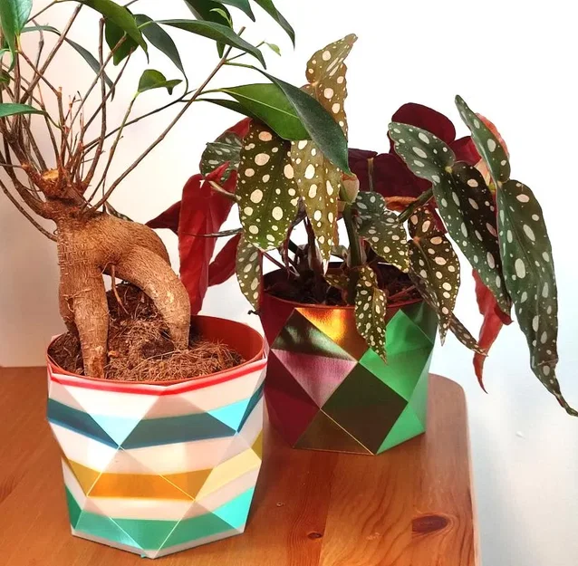 Chậu hoa low poly đơn giản thiết kế bằng OpenSCAD - Image 1