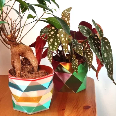 Chậu hoa low poly đơn giản thiết kế bằng OpenSCAD