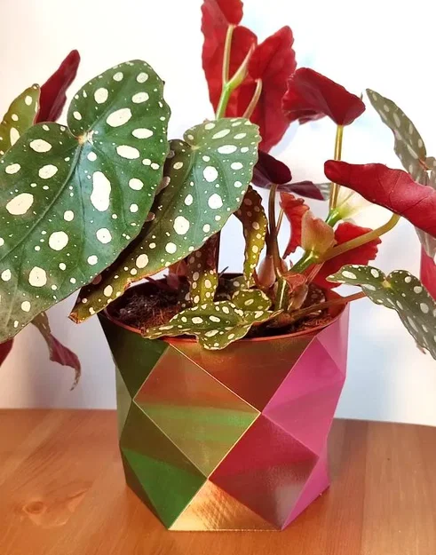 Chậu hoa low poly đơn giản thiết kế bằng OpenSCAD - Image 2