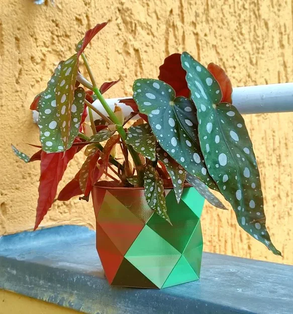 Chậu hoa low poly đơn giản thiết kế bằng OpenSCAD - Image 3