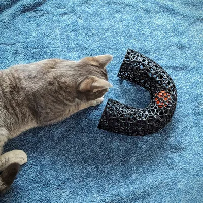 Đồ chơi ống tung hứng phong cách Voronoi