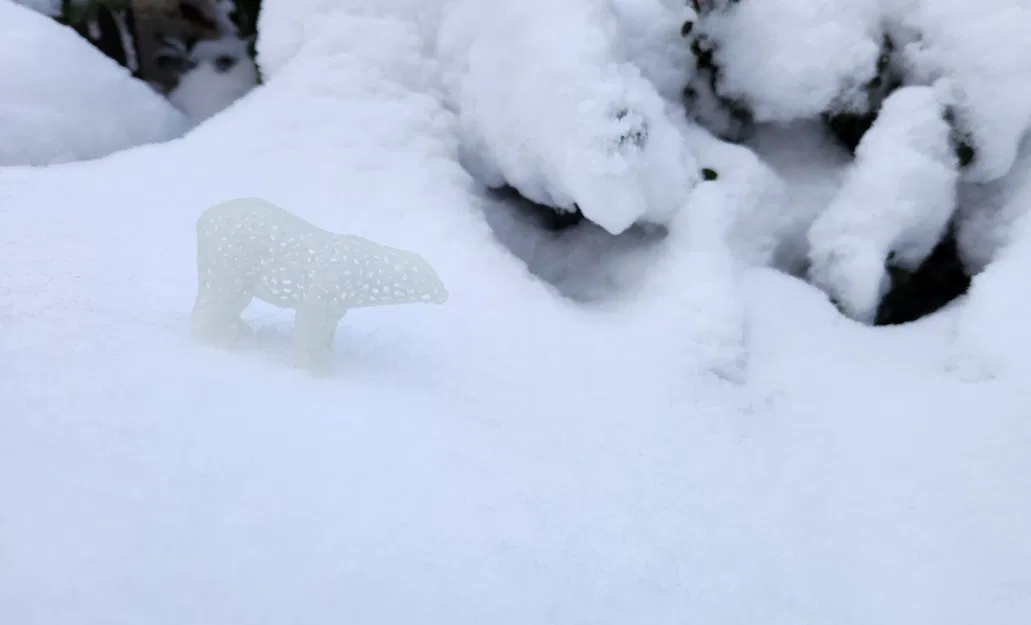 Gấu Bắc Cực Voronoi Nhỏ - Chất liệu in 3D chỉ 3 gram - Image 3