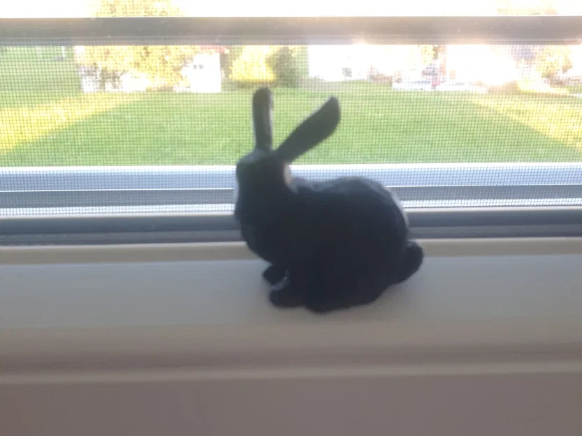 Thỏ low poly phong cách tối giản - Image 2