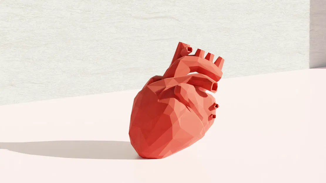 **Mô hình trái tim giải phẫu phong cách Low Poly** - Image 1