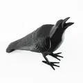 Mô hình quạ vui nhộn không cần hỗ trợ in 3D - Thumbnail 1