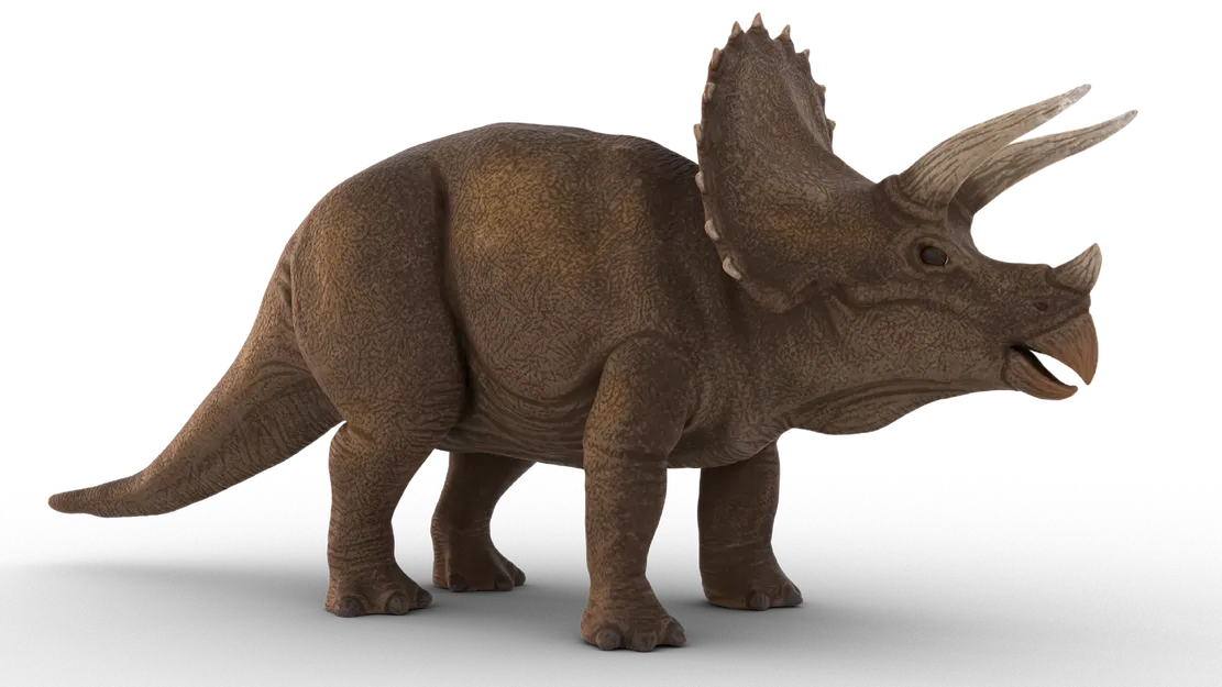 Mô hình triceratops linh hoạt cho trẻ em - Image 1