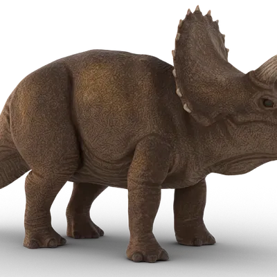 Mô hình triceratops linh hoạt cho trẻ em
