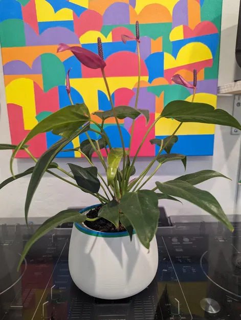 Bình hoa nhiều màu sắc trang trí nội thất - Image 2