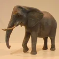 Mô hình voi chi tiết cao với tư thế đi bộ - Thumbnail 2