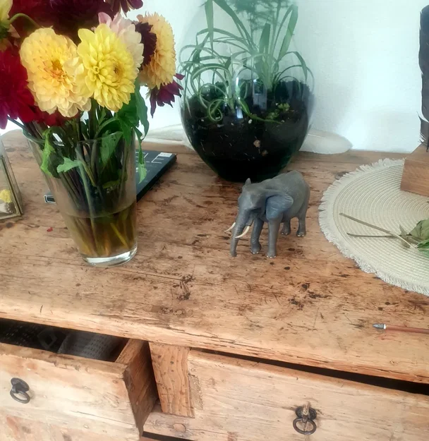 Mô hình voi chi tiết cao với tư thế đi bộ - Image 3