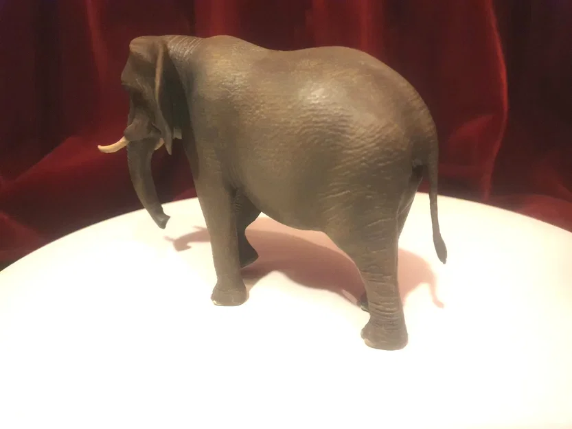 Mô hình voi chi tiết cao với tư thế đi bộ - Image 4