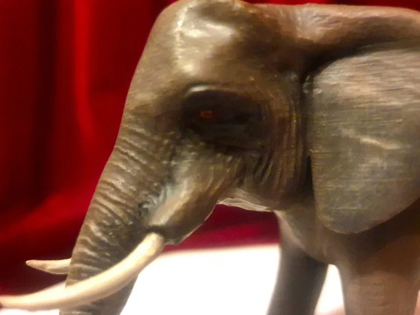 Mô hình voi chi tiết cao với tư thế đi bộ - Image 5