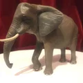Mô hình voi chi tiết cao với tư thế đi bộ - Thumbnail 8