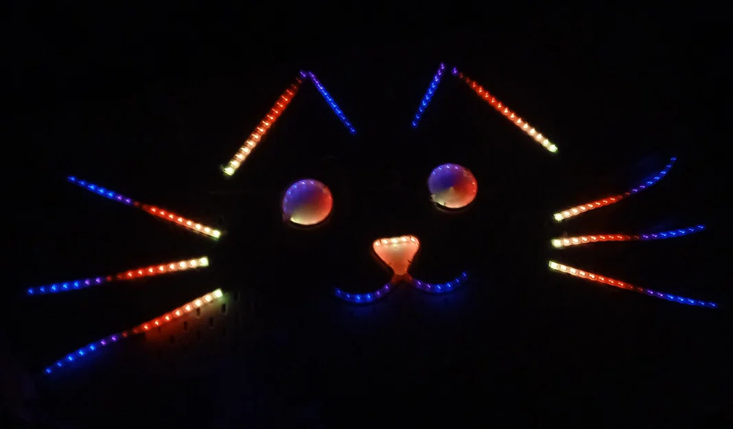 Đầu mèo nhấp nháy với đèn LED Neopixel - Image 2