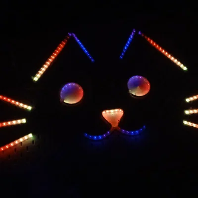 Đầu mèo nhấp nháy với đèn LED Neopixel