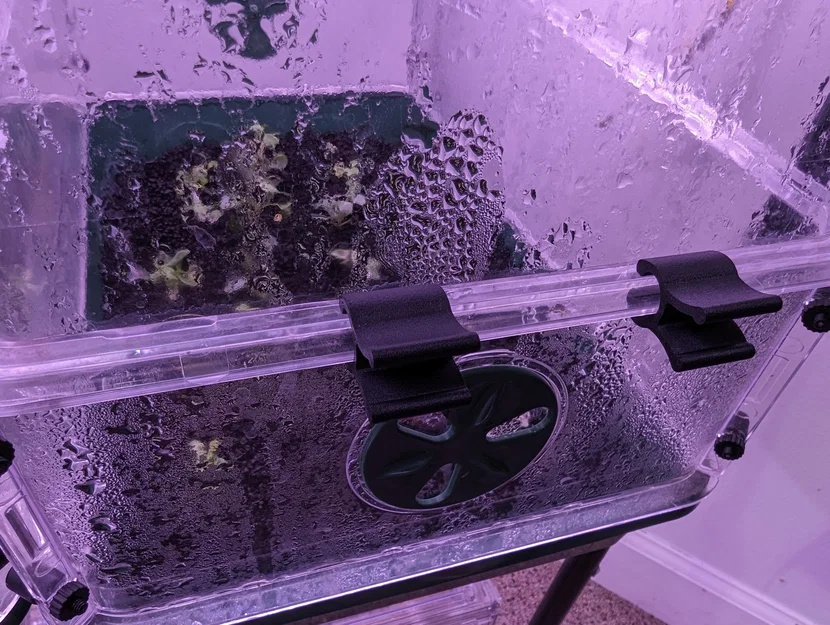 Các kẹp khóa thay thế cho hộp nhân giống EarlyGrow - Image 1