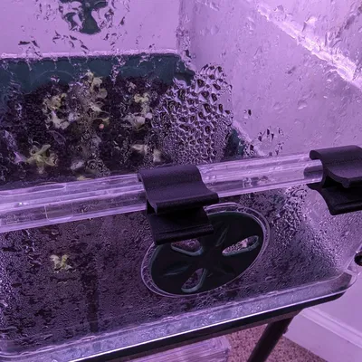 Các kẹp khóa thay thế cho hộp nhân giống EarlyGrow